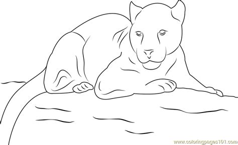 coloring pages panther|More.